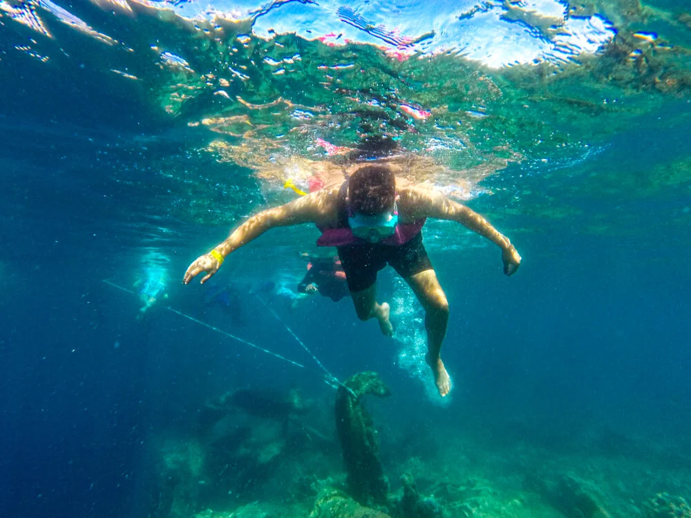 Tigersc Offline XXX Chat