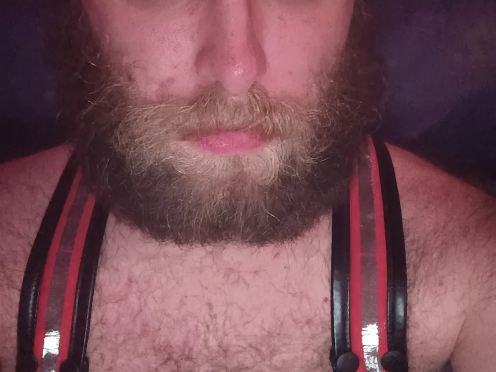 kengo809 offline XXX-chat