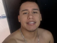 francis30-11 webcam