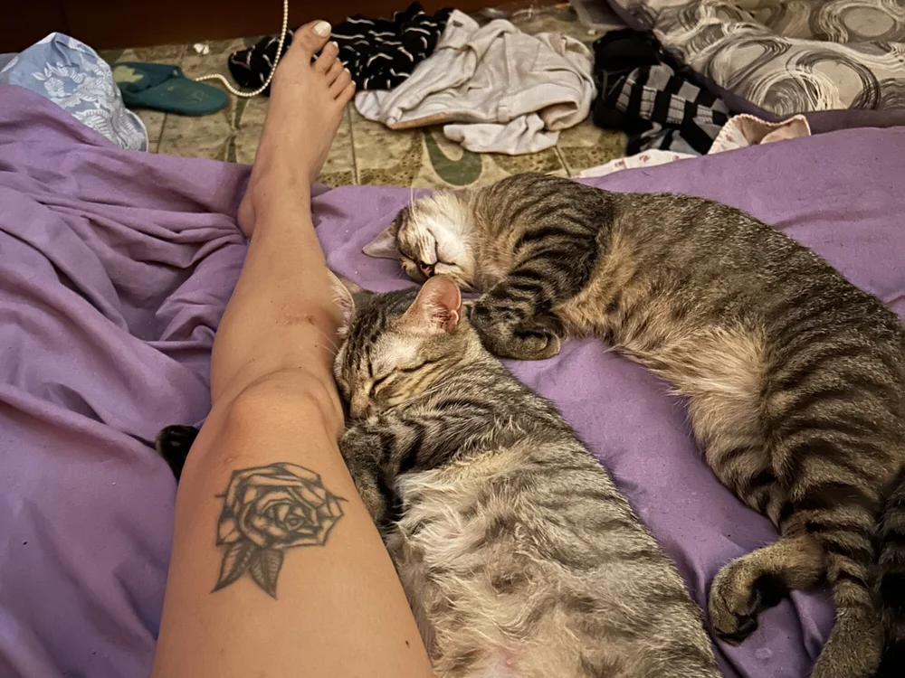 Lolafindom's Offline XXX Chat