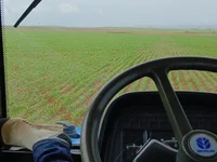 moreno_24's webcam live show