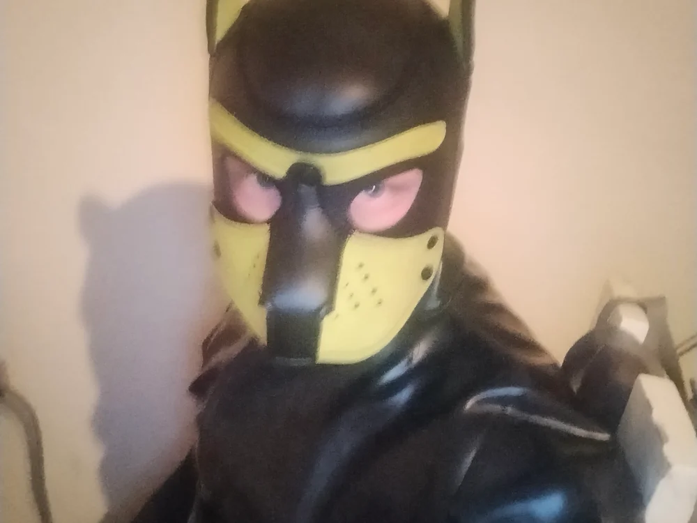 Czat XXX offline – ArcticRubber1989