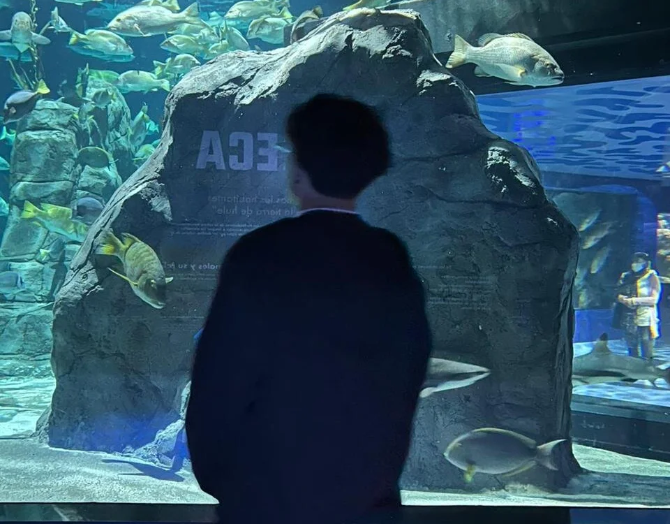 Angel_rincon 离线XXX聊天