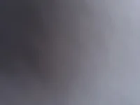 paul4653 🌟 free live chat