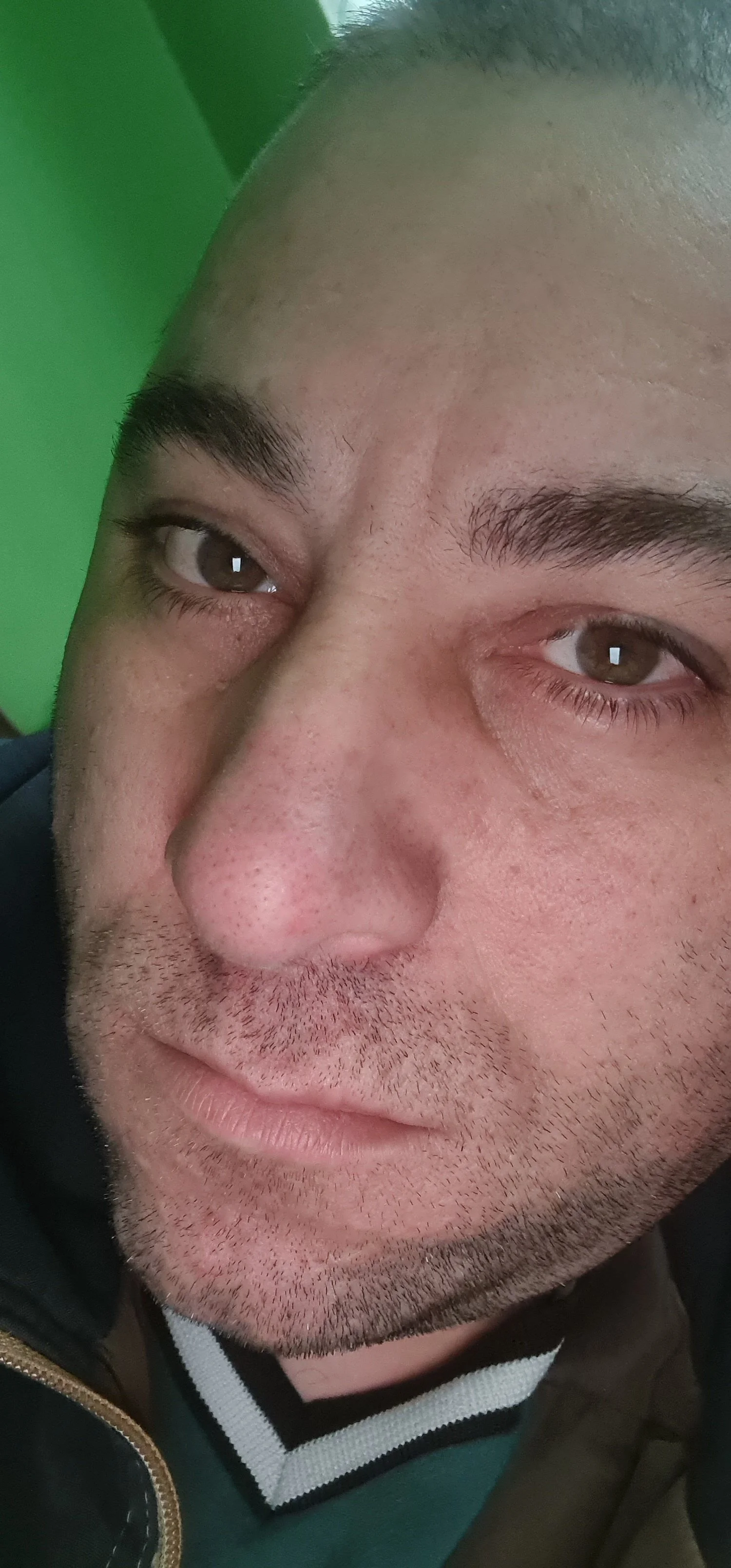 moldoalex