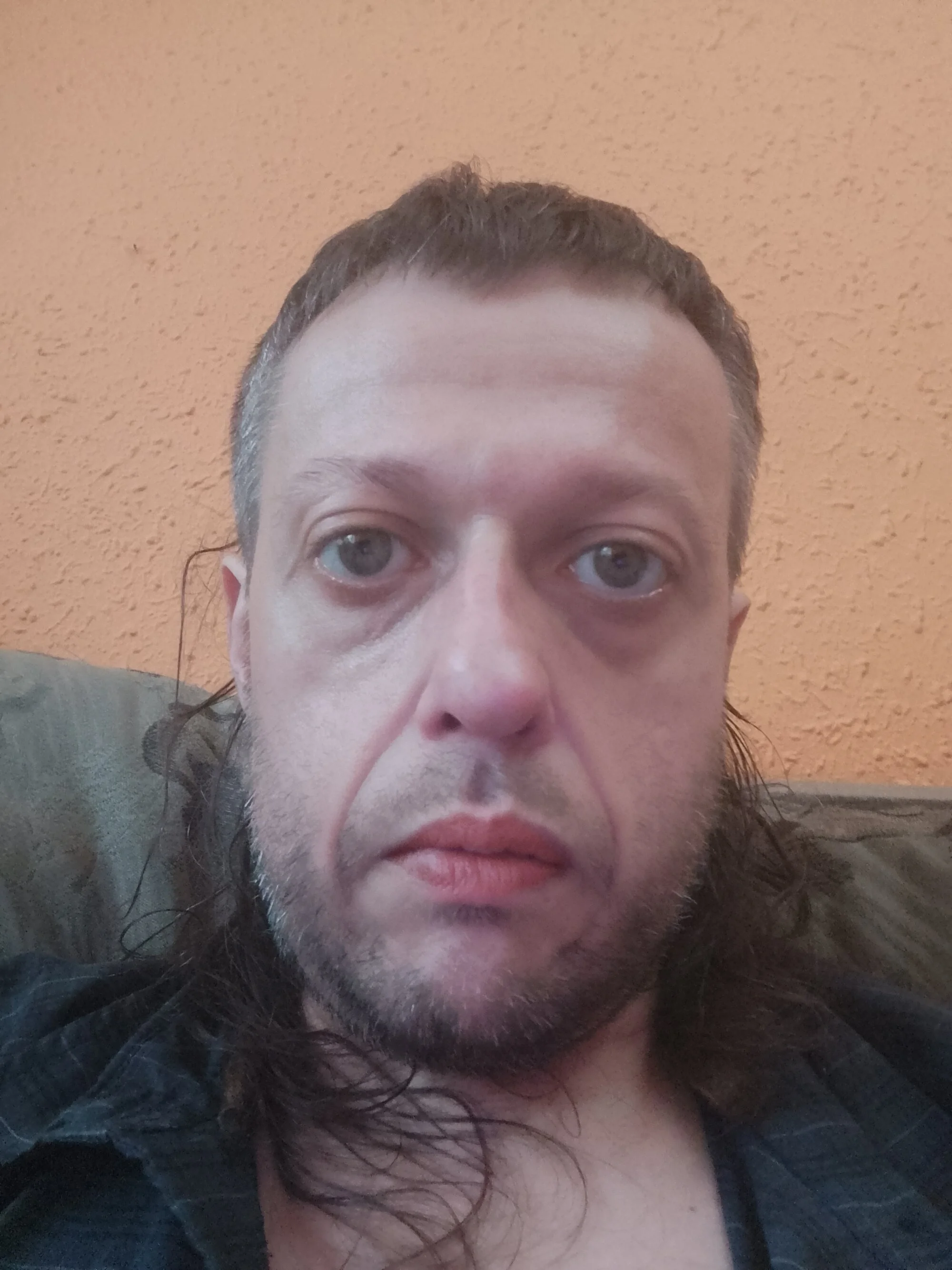Perrito696969