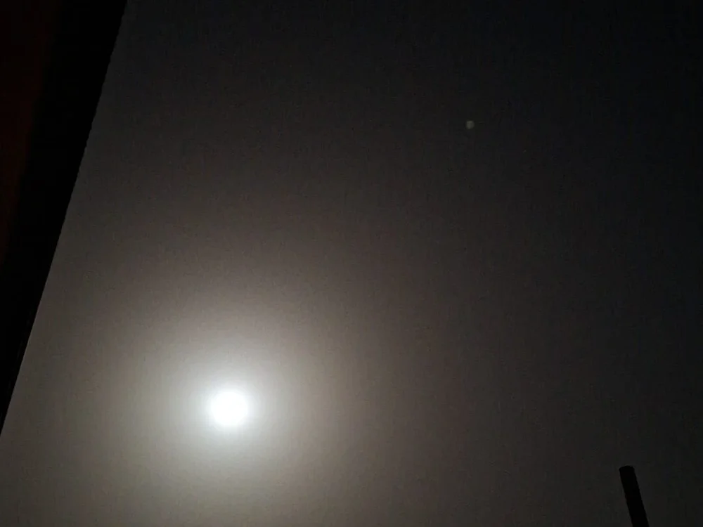 cover photo of dickbigges9