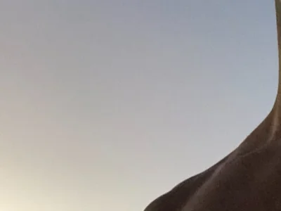 Blacko588-and-She profile