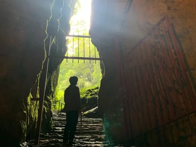 MASA_flash123 profile