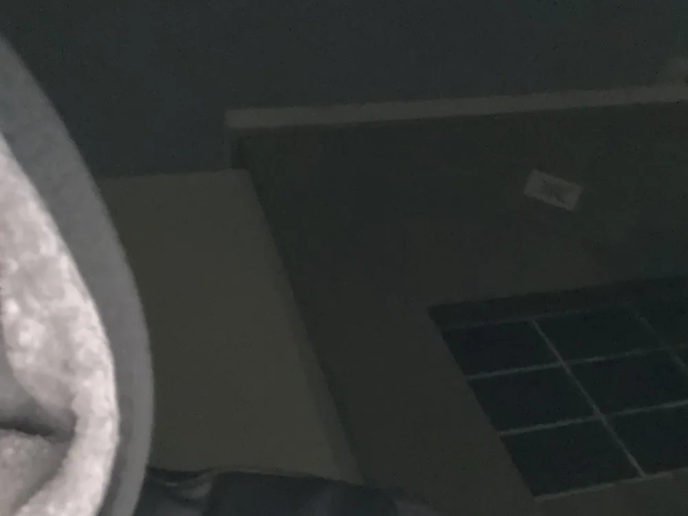 highallthetime42o offline chatrum