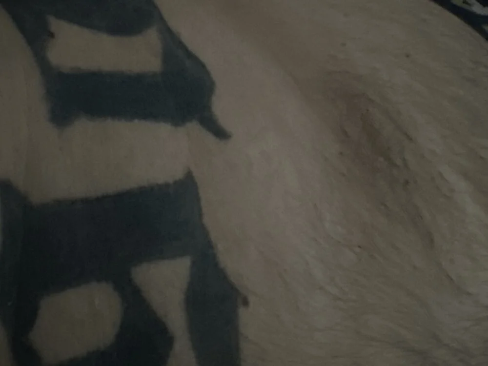 BigCocklikesU 오프라인 XXX 채팅