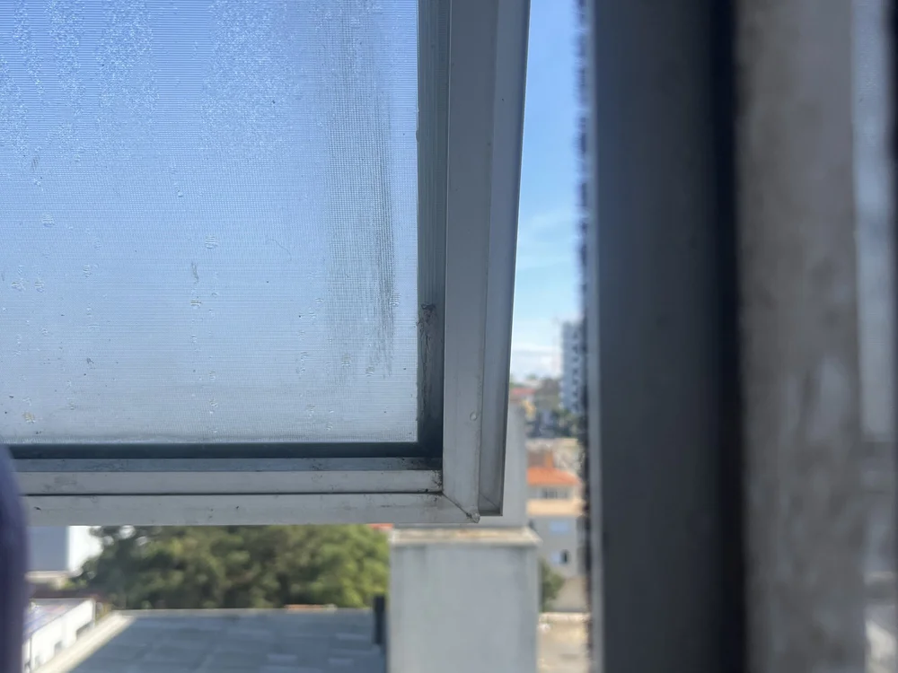 Fodedlc 🚾 online cam