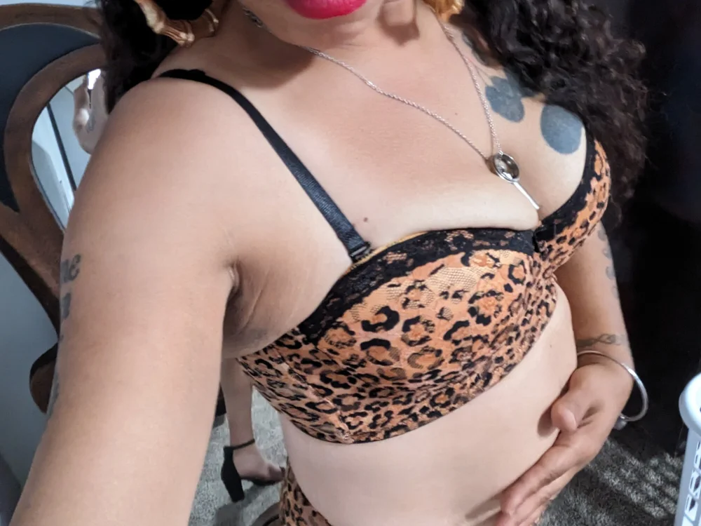 TootieBeez offline chatrum