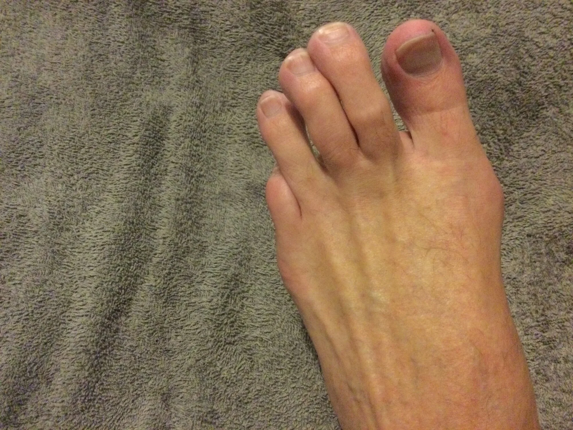 dontftb live webcam