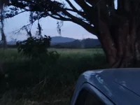 Model UrsoBissexualPauGrosso