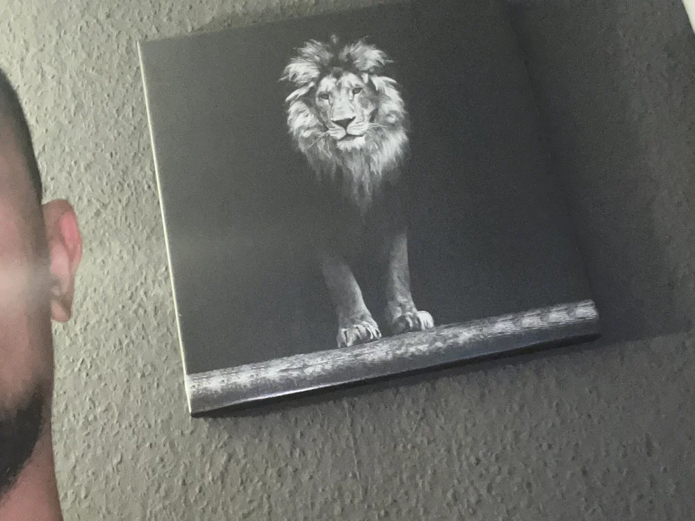 boran72 Offline XXX-chat