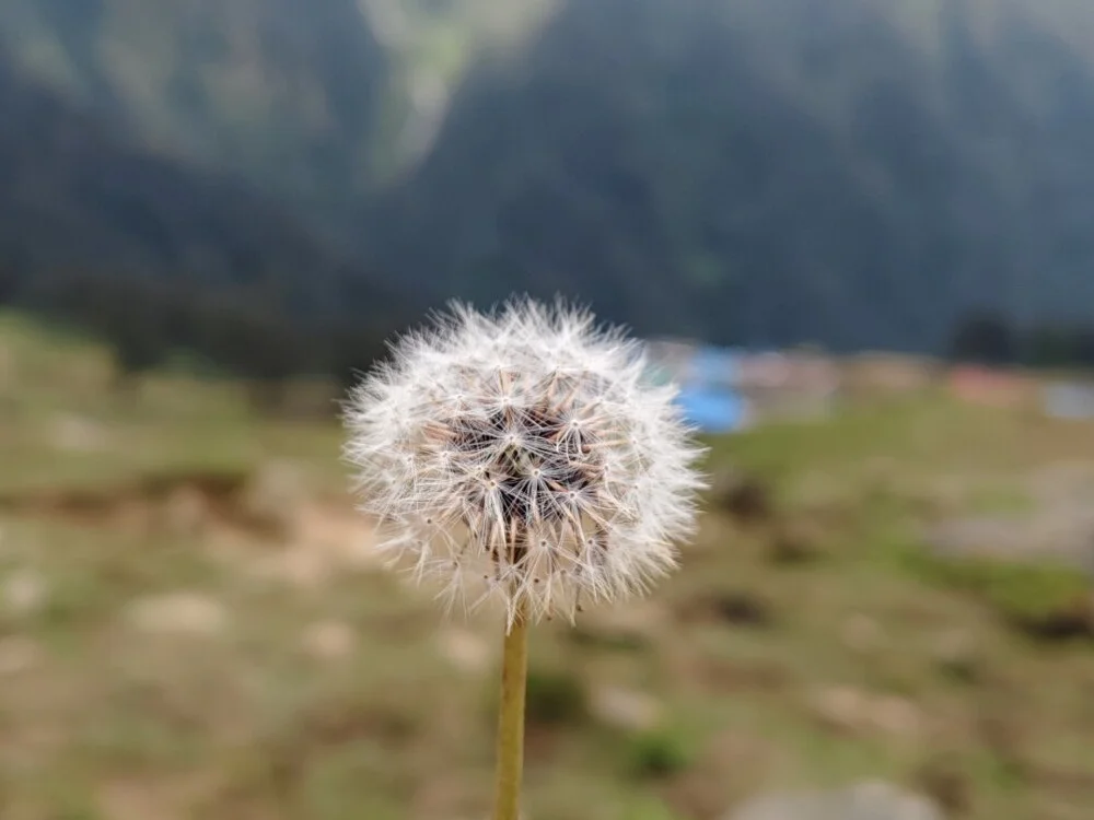 bigdick2299: συνομιλία ΧΧΧ εκτός σύνδεσης