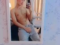 Модель arlequiin_