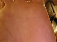 Модель 0815lukas2024