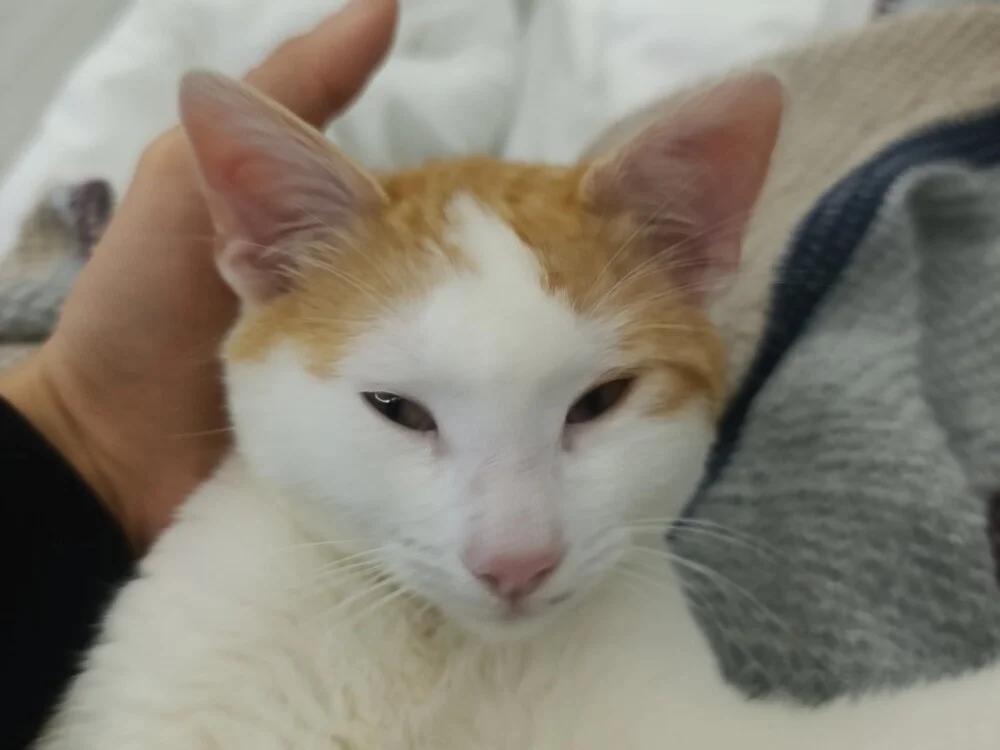 umtyl889 Adlı Modelin Çevrimdışı XXX Sohbeti