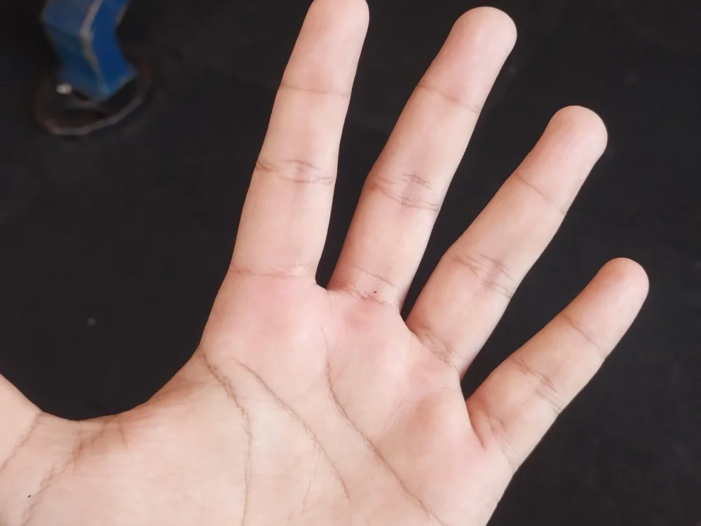 gaag02n Offline XXX chat