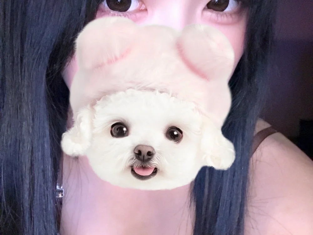 bunny_chan offline chatrum