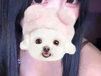 bunny_chan