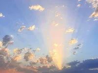 spndck93's webcam live show