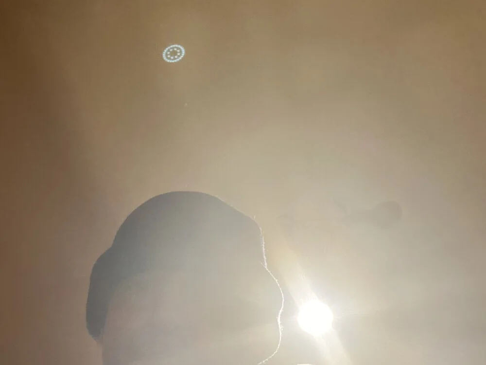 Офлайн-чат XXX Risingcock