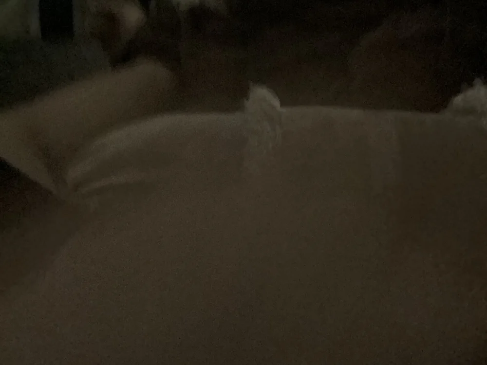 UnsaltedComfort195's Offline XXX Chat