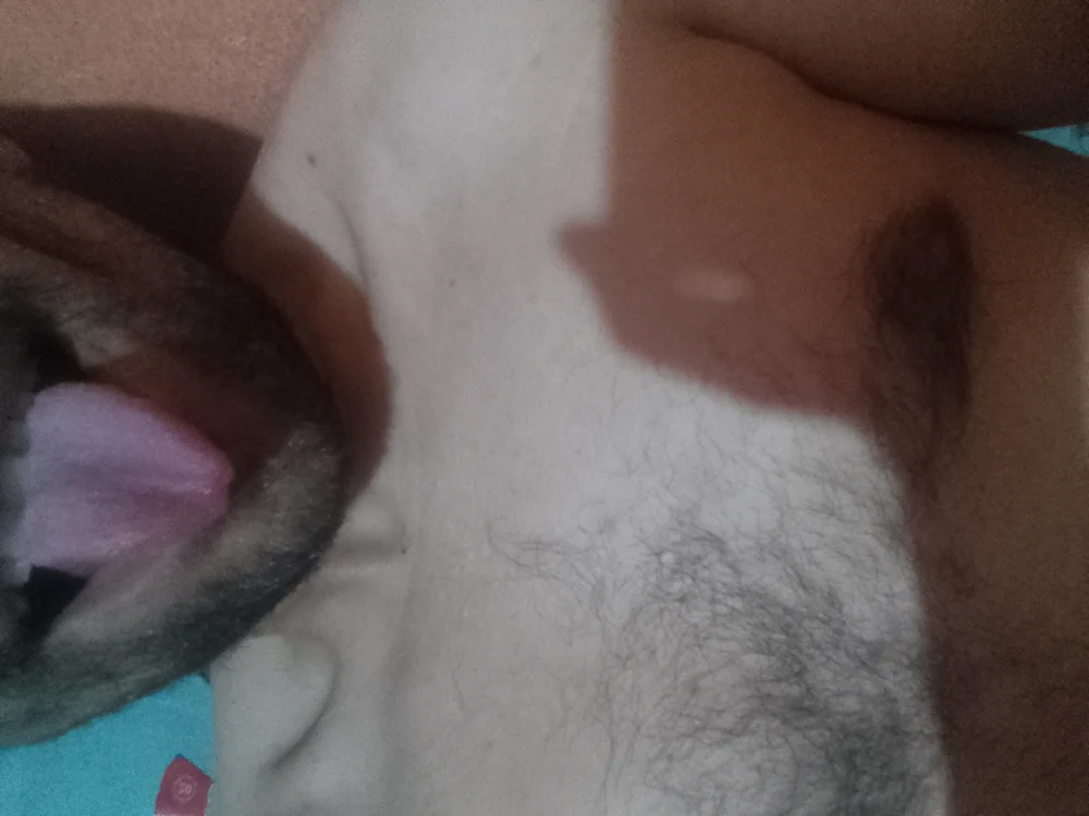 pedrogas21 Chat XXX offline