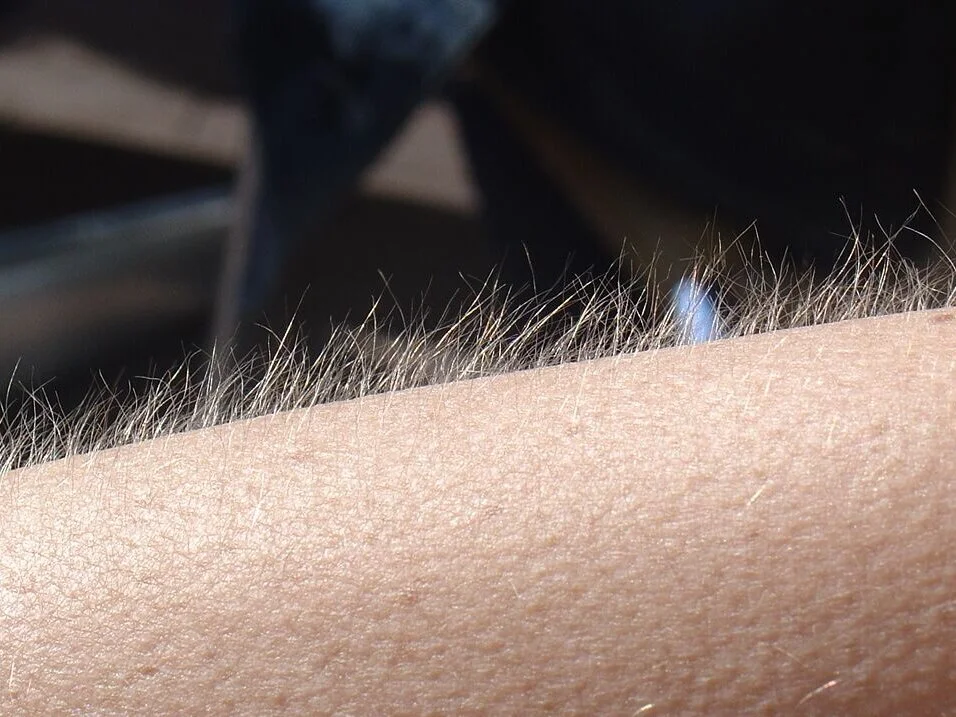 Sembang XXX Luar Talian milkiway@xh