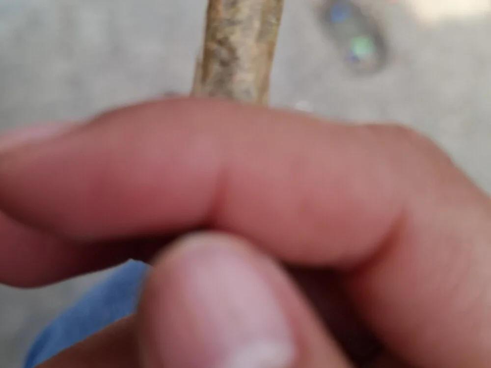 Offline XXX chat Elpolloz