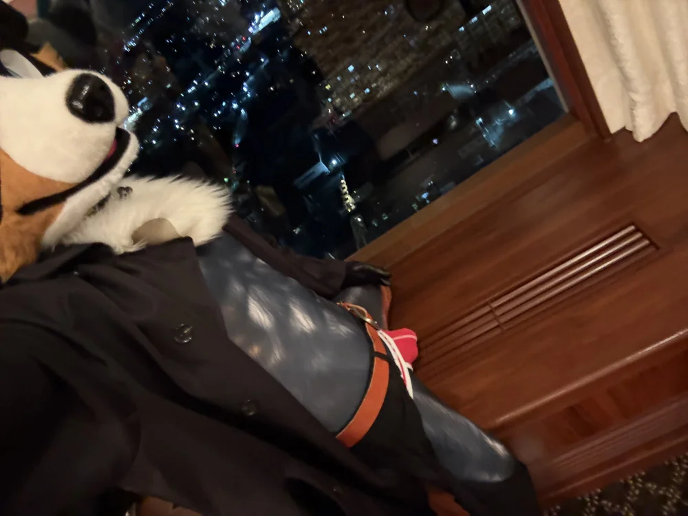 ห้องแชทออฟไลน์ของ FurryRalf