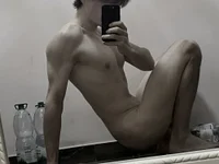 Модель Imagerysin23