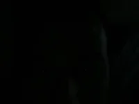 emilyseewt