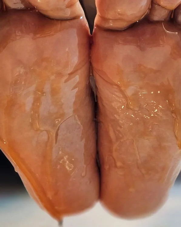 دردشة StellayDrake الجنسية دون اتصال