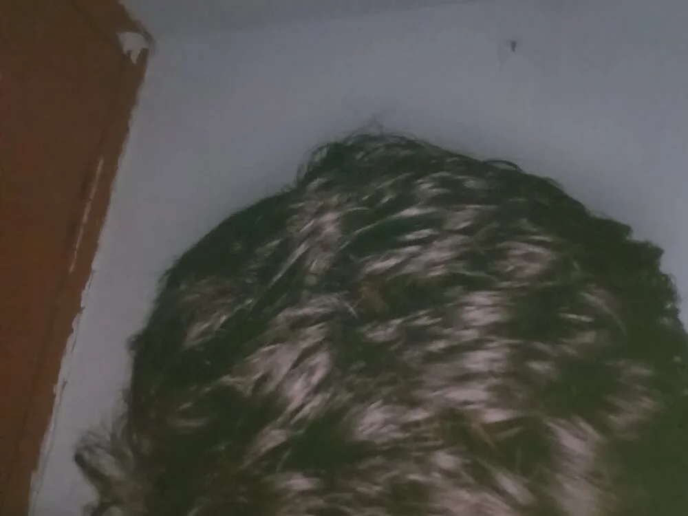 HELLBOY_008's Offline XXX Chat