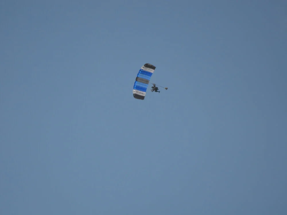 Offline XXX chat modela The_Shy_Guy93