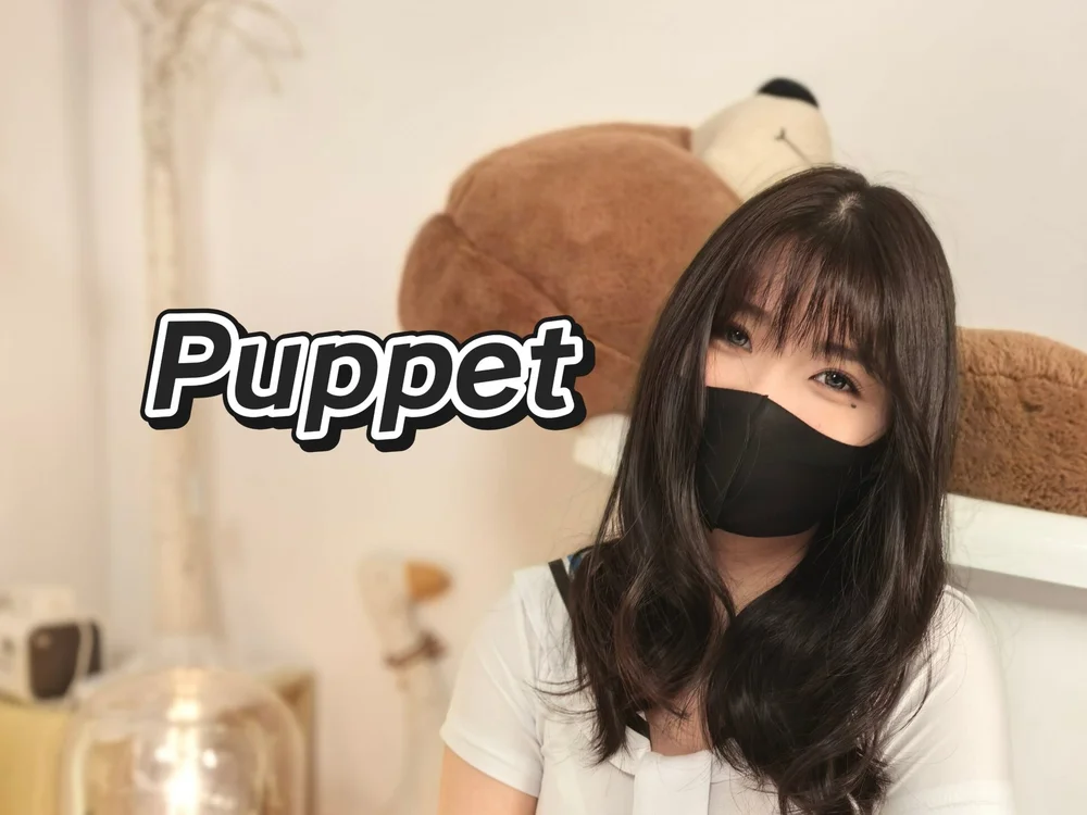 Puppet-'s Offline Chat Room