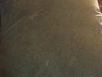 tannedbeachbum cover photo