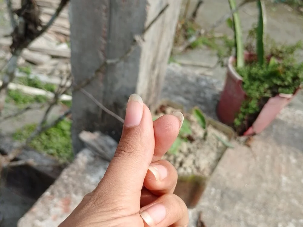 rika-03's Offline XXX Chat