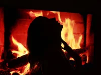 Hailey_Green's Live XXX Chat