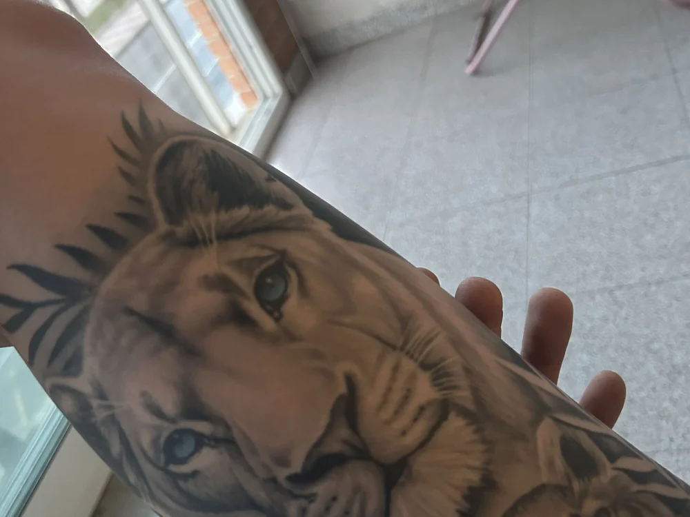 Offline chatovací místnost goldboyyy