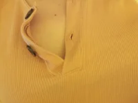 Lin_9998 live cam preview