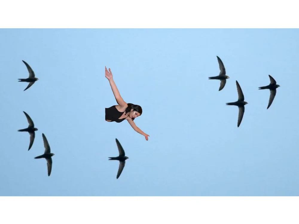 rowenaxr offline XXX-chatje