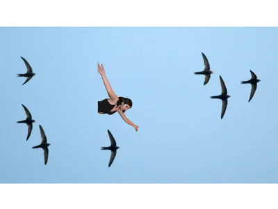 Profile and Statistics for rowenaxr on StripChat