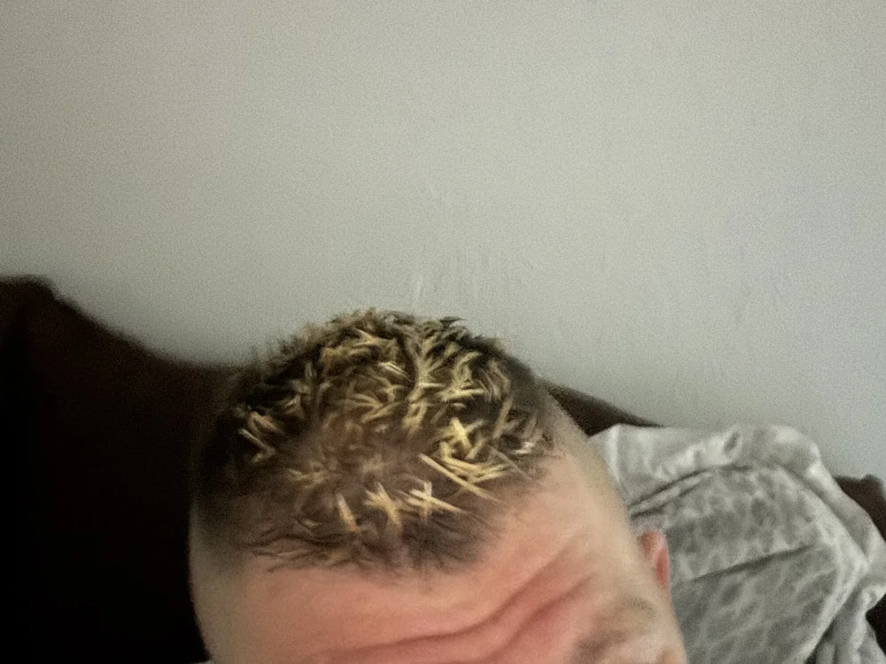 Chat XXX offline de chrislauryn69420