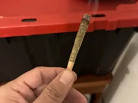 Super_boy125's Live XXX Chat