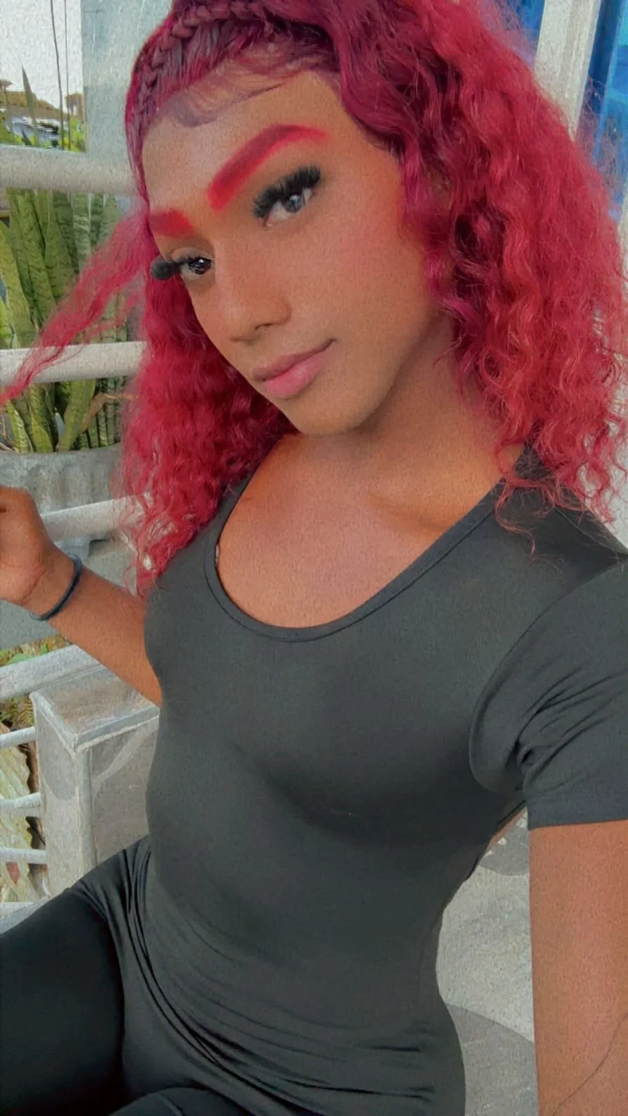 karol_smitt